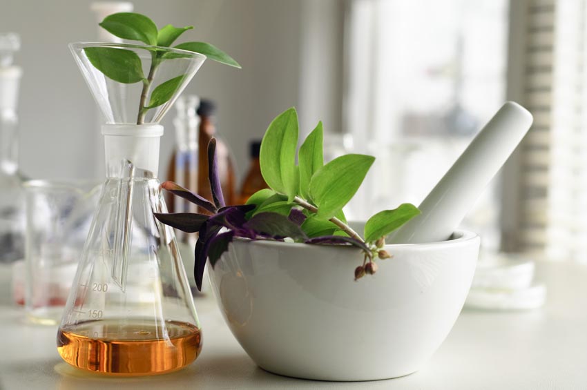 La phytothérapie et l'aromathérapie consiste à utiliser des plantes dans le but de conserver ou recouvrer la santé.