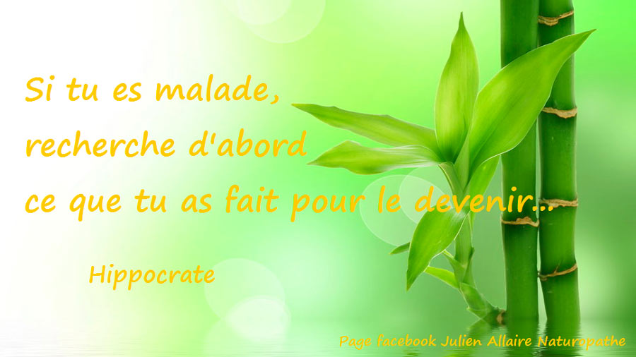 Citation d'Hippocrate sur les causes de la maladie