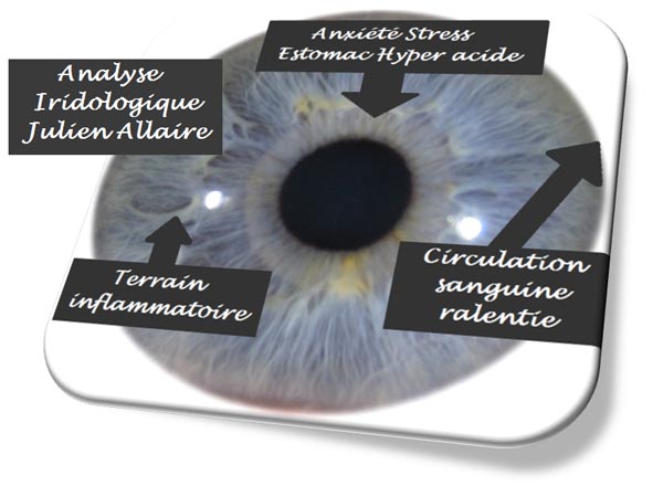 Vidéo de presentation de l'iridologie et du bilan iridologique