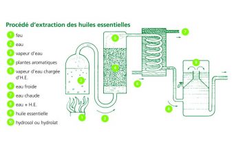 Huiles essentielles Pranarom