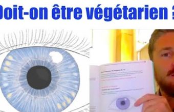 Doit-on être végétarien ? Que dit la couleur de nos yeux sur notre capacité à digérer les protéines?