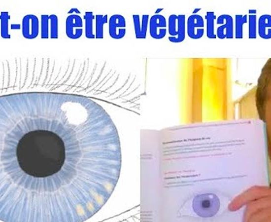 Doit-on être végétarien ? Que dit la couleur de nos yeux sur notre capacité à digérer les protéines?