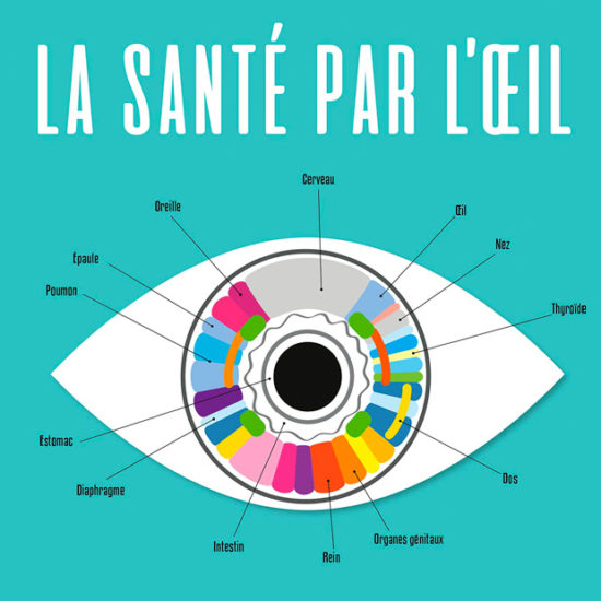 La Santé par l'oeil - livre sur l'iridologie par Julien Allaire